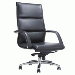 Executive Director Swivel Office Chair (BP231-1)